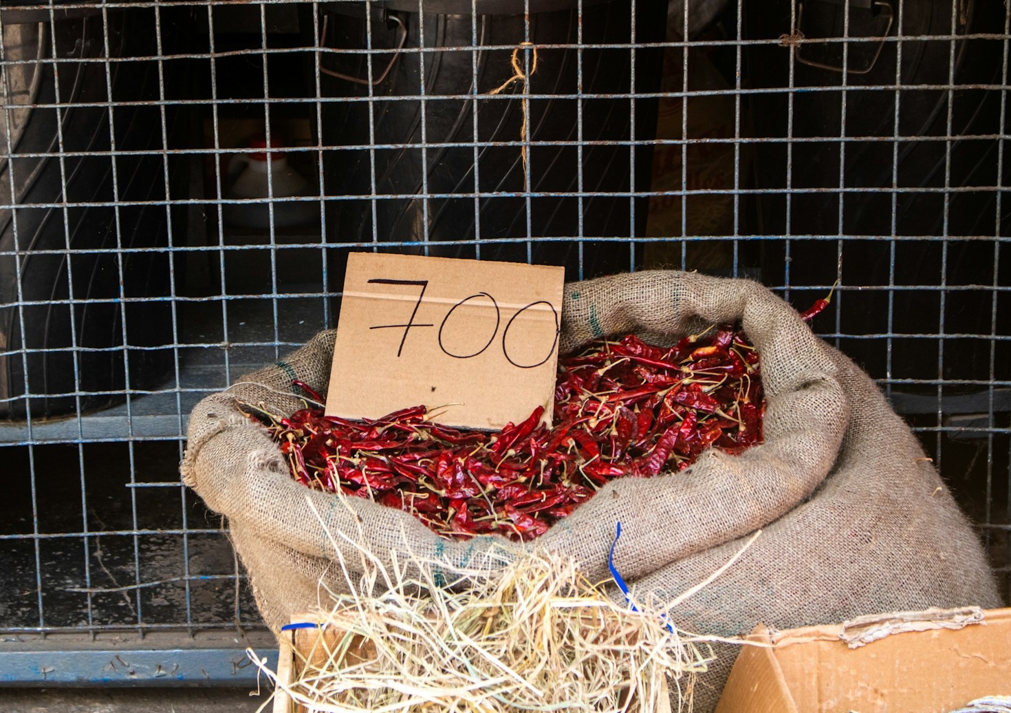 How Ceyonts Impex Delivers Quality Worldwide